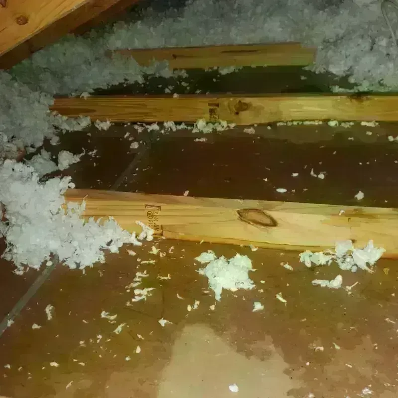 Attic Water Damage in Bracey, VA